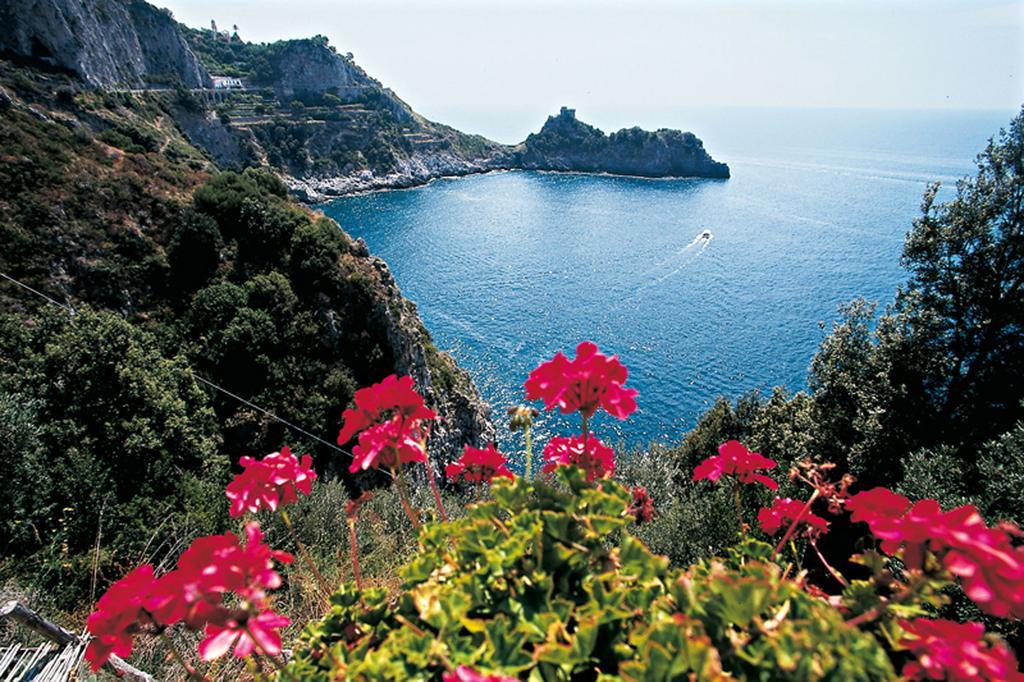 Salerno Prestige Apartment 外观 照片
